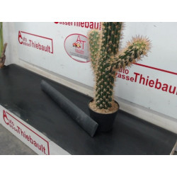Baguette de porte arriere gauche  RENAULT CLIO II PHASE 2 d’occasion