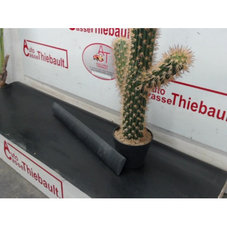 Baguette de porte arriere gauche  RENAULT CLIO II PHASE 2 d’occasion
