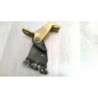 Chariot porte laterale coulissante RENAULT KANGOO 2 PHASE 1 d’occasion