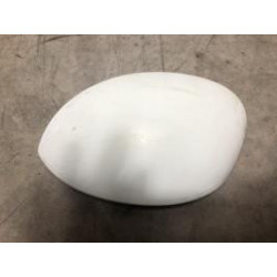 Coquille de retroviseur gauche PEUGEOT 206 PHASE 2 d’occasion