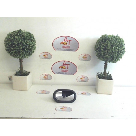 Poignee interieur avant gauche RENAULT SCENIC II PHASE 2 d’occasion