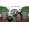 Boite de vitesses RENAULT CLIO III PHASE 1 d’occasion