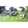 Ceinture avant gauche HYUNDAI TRAJET d’occasion