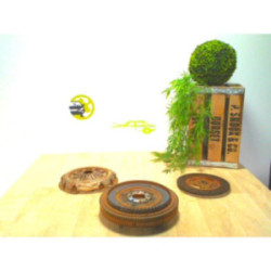 Embrayage FIAT PANDA 2 PHASE 1 d’occasion
