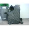 Boite a air RENAULT MEGANE 2 PHASE 1 d’occasion
