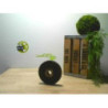 Poulie damper RENAULT KANGOO 1 PHASE 2 d’occasion