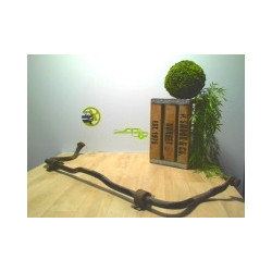 Barre stabilisatrice PEUGEOT 407 PHASE 1 d’occasion