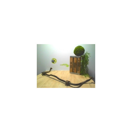 Barre stabilisatrice PEUGEOT 407 PHASE 1 d’occasion