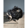 Boite de vitesses RENAULT CLIO 2 PHASE 1 d’occasion