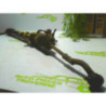 Cremaillere mecanique HYUNDAI TUCSON 1 d’occasion