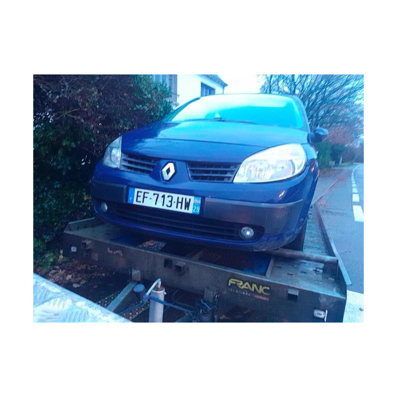 Interrupteur de leve vitre avant gauche RENAULT SCENIC 2 PHASE 1 d’occasion
