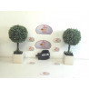 Poignee interieur avant droit CITROEN C2 PHASE 1 d’occasion