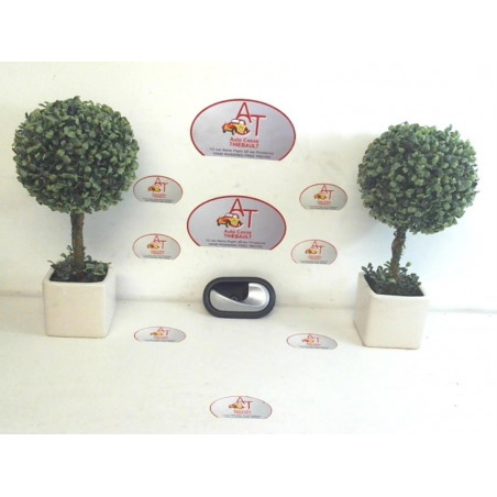 Poignee interieur avant droit RENAULT CLIO III PHASE 2 d’occasion