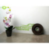 Poulie damper RENAULT MEGANE 2 PHASE 1 d’occasion