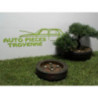Poulie damper CITROEN C5 1 PHASE 1 d’occasion