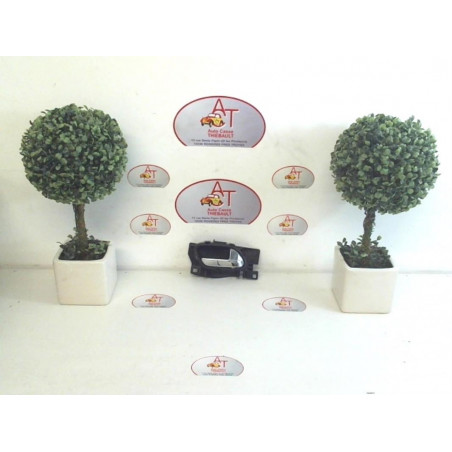 Poignee interieur arriere droit CITROEN C3 PICASSO d’occasion