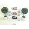 Poignee interieur arriere droit CITROEN C4 d’occasion
