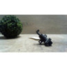 Bloc electrovannes OPEL TIGRA 1 COUPE d’occasion