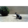 Bloc electrovannes OPEL TIGRA 1 COUPE d’occasion