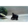 Bloc electrovannes OPEL TIGRA 1 COUPE d’occasion