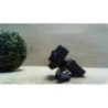 Serrure de coffre RENAULT LAGUNA 1 PHASE 1 d’occasion