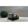 Anti brouillard arriere droit FORD FOCUS 1 d’occasion