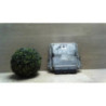 Calculateur moteur RENAULT SCENIC 1 PHASE 2 d’occasion