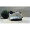 Serrure arriere droit SEAT LEON 3 PHASE 1 d’occasion
