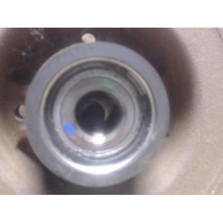 Disque arriere gauche (freinage) RENAULT SCENIC 2 PHASE 1 d’occasion