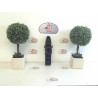 platine de feu RENAULT  d’occasion
