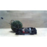 Poignee porte arriere droit SEAT IBIZA 4 ST PHASE 3 BREAK d’occasion