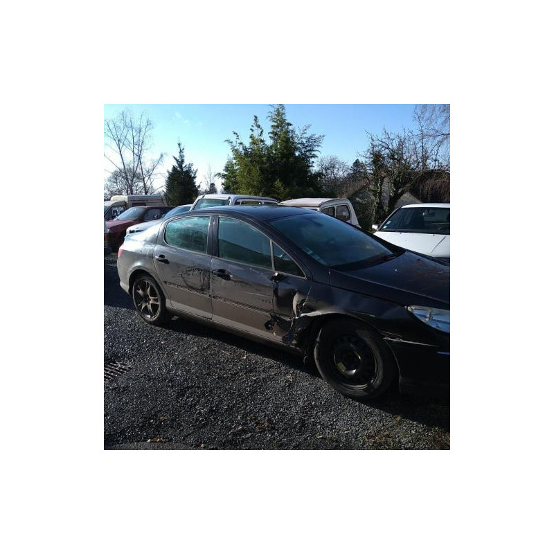 Poignee interieur avant gauche PEUGEOT 407 PHASE 1 d’occasion
