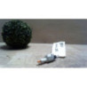 Contacteur feu stop RENAULT SCENIC 3 PHASE 3 d’occasion