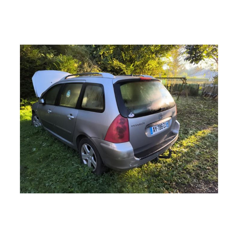 Jante PEUGEOT 307 PHASE 1 BREAK d’occasion