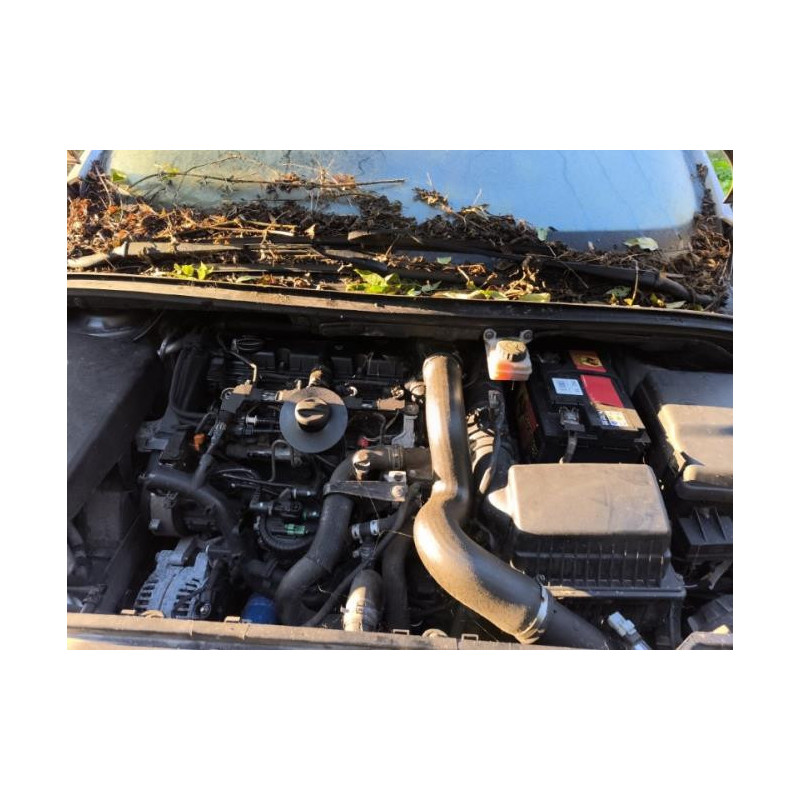 Jante PEUGEOT 307 PHASE 1 BREAK d’occasion