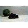 Aerateur tableau de bord avant droit FORD C-MAX 1 PHASE 1 d’occasion