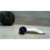 Commande de condamnation air bag RENAULT MEGANE 3 PHASE 1 d’occasion