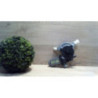 Moteur essuie glace avant droit NISSAN PRIMERA 4 d’occasion
