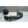 Durite de turbo SMART FORTWO 2 COUPE d’occasion