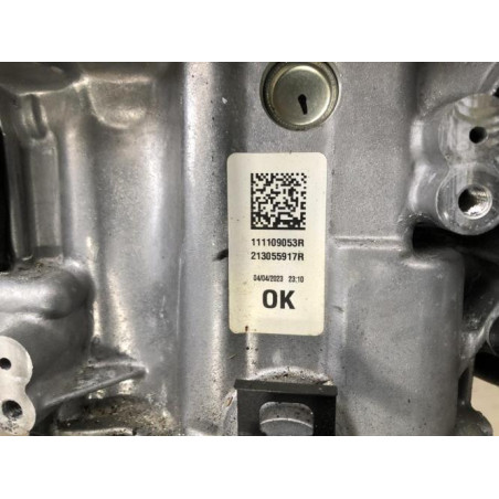 Moteur RENAULT CLIO 5 d’occasion