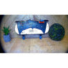 Compteur RENAULT CLIO 2 PHASE 2 d’occasion