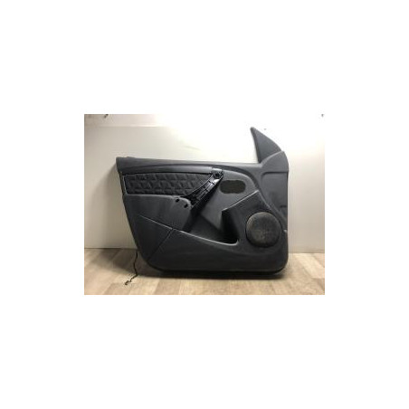 Panneau de porte avant gauche DACIA DUSTER 1 PHASE 2 d’occasion