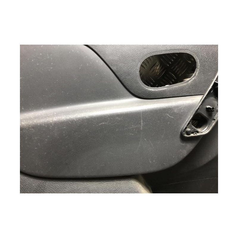 Panneau de porte avant gauche DACIA SANDERO 2 PHASE 1 d’occasion