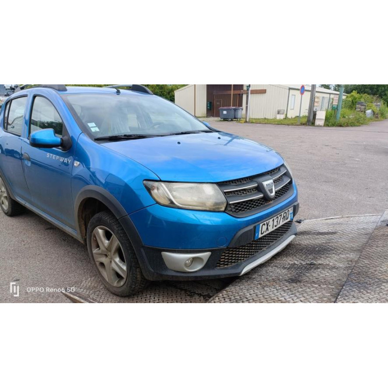 Panneau de porte avant gauche DACIA SANDERO 2 PHASE 1 d’occasion
