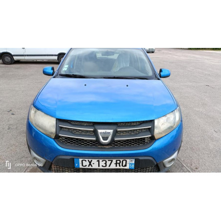 Panneau de porte avant gauche DACIA SANDERO 2 PHASE 1 d’occasion