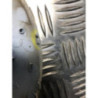 Coquille de retroviseur droit PEUGEOT 206+ d’occasion