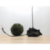 Serrure avant droit RENAULT GRAND MODUS PHASE 2 d’occasion