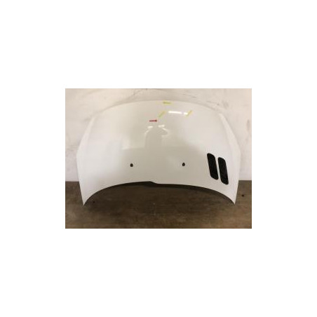 Capot PEUGEOT 206+ d’occasion