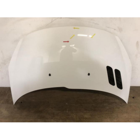 Capot PEUGEOT 206+ d’occasion