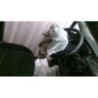Commande de phare VOLKSWAGEN TOURAN 3 d’occasion